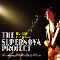 THE SUPERNOVA PROJECT