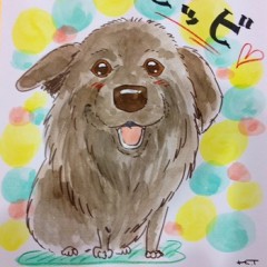 似顔絵師 たなかひとみ