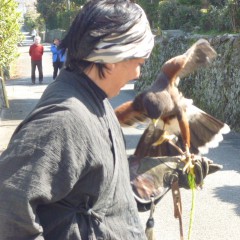 鷹狩り 麒麟　　