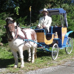 　ポニー 馬車体験