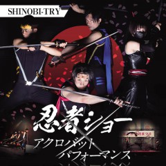 　SHINOBI-TRY