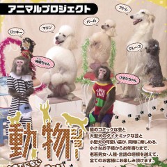アニマルプロジェクト