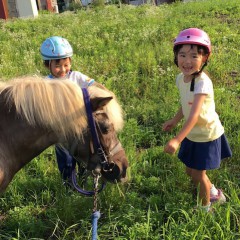 ポニーフィールドあみ