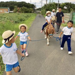 ポニーフィールドあみ