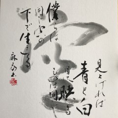 書道アーティスト 麻衣