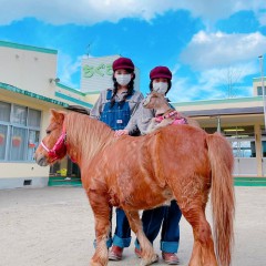 おでん動物園