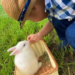 おでん動物園